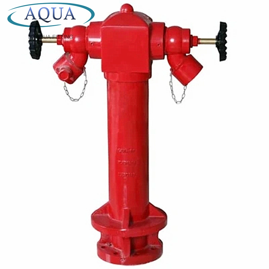 Ductile Iron Material Hydrant for Fire DN80, DN100