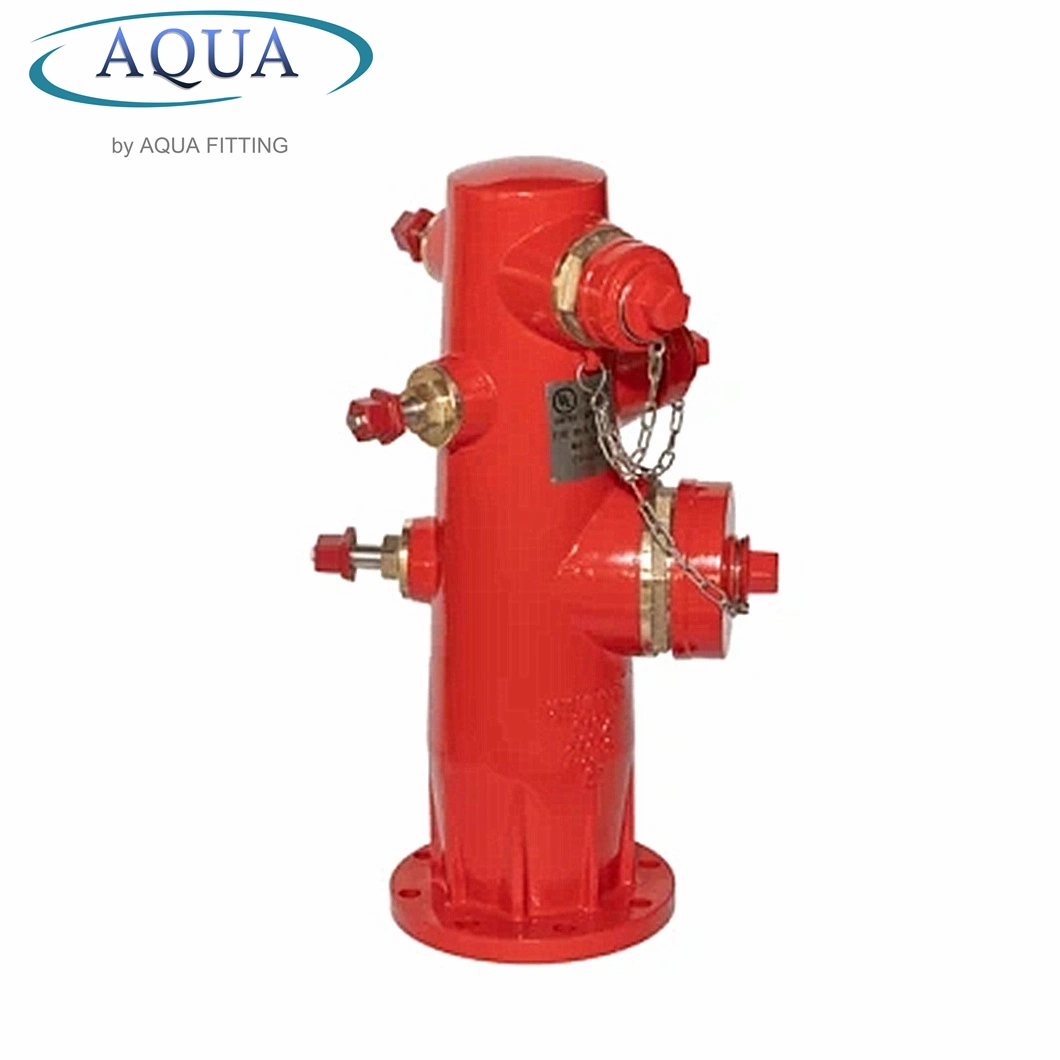 Ductile Iron Material Hydrant for Fire DN80, DN100