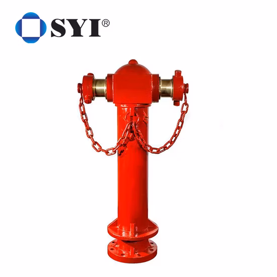 Outdoor Cast Iron Pillar Double Outlet Fire Hydrant