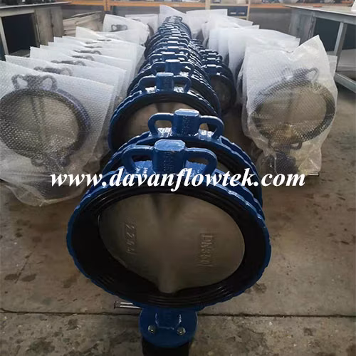 Ductile Cast Iron DN150 Ground Type Outdoor Fire Hydrant Valve Ss150