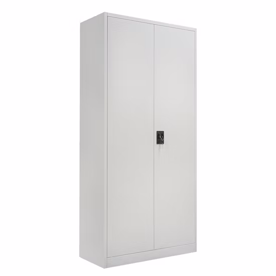 Modern Style Cupboard Two Door Swing Full Height Cabinet
