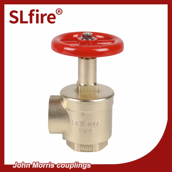 Double Door Fire Cabinets for Fire Extinguisher and Fire Hose Reel